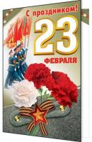Серия 2-46-23043 открытка двойная