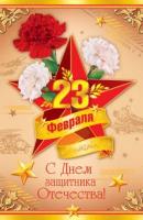 Серия 2-46-23007 открытка двойная