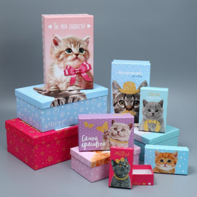 Коробка прямоуг Котики №8 26*17*10 см рис микс 1 шт