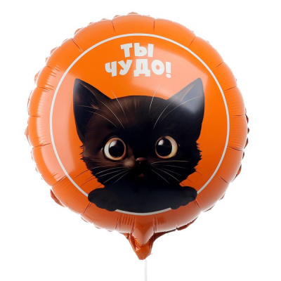 Шар Круг фольга 18" Ты чудо Шар Круг фольга 18" Ты чудо