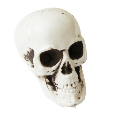 Череп 7,5*6*5,3 см 1 шт Череп 7,5*6*5,3 см 1 шт