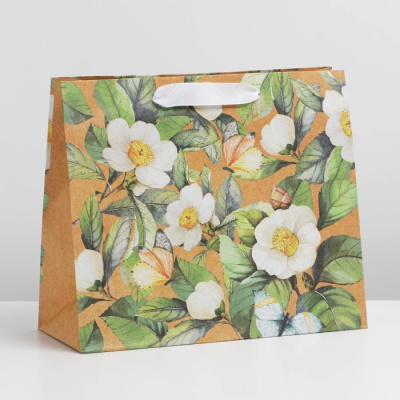 Пакет крафт Ботаника ML 23*27*11.5 см 1 шт