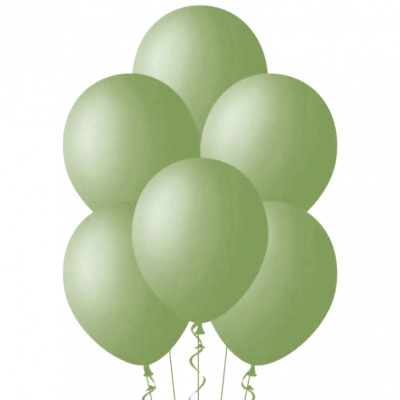 Букет Шары Пастель эвкалипт 35 см 1 шт