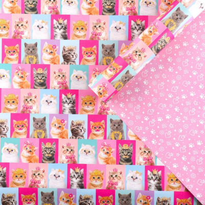 Бумага крафт двусторон Коты 70*100 см 1 шт