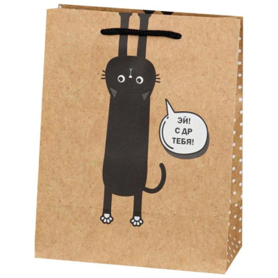 Пакет крафт Эй С ДР тебя 18*23 см 1 шт