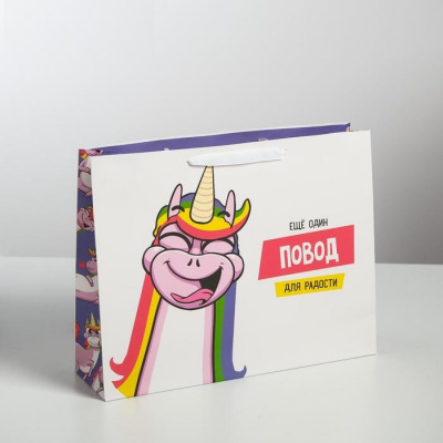 Пакет ламинат Повод для радости 27*23*11,5 см 1 шт